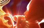 Chuyên gia tư vấn tránh sinh con bị tan máu bẩm sinh