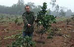 Nghệ An: Truy tìm kẻ 7 lần chặt hạ vườn cây, đốt nhà tạm của dân