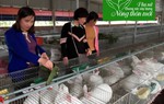 3 mô hình phụ nữ làm kinh tế tiêu biểu tại Vũ Đông