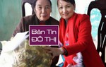 Cô giáo dạy văn xin ra khỏi ngành về bốc thuốc Nam vì lương thấp