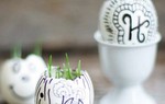 Biến vỏ trứng thành tác phẩm nghệ thuật độc đáo