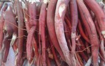 Sâm cau cứu quý ông "chưa đến chợ đã hết tiền"