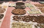 Tốn tiền, mất thời gian khi điều trị vô sinh bằng “thuốc gia truyền”