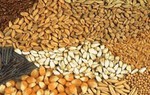 Xuất cấp 1.220 tấn hạt giống hỗ trợ 3 tỉnh thiệt hại do thiên tai