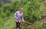 Phụ nữ Bắc Kạn góp sức ứng phó với biến đổi khí hậu