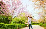 Tình yêu đong đầy trong sáng đầu xuân