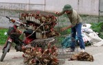1,6 tấn gà nhập lậu từ Trung Quốc 'tuồn' vào Việt Nam