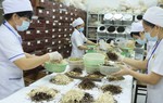Cơ hội khám bệnh, nhận thuốc miễn phí tại Hội chợ Y dược cổ truyền 2019 
