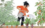 Luống rau của mẹ và vườn hoa của vợ