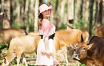 Nhà văn Di Li ra mắt bộ đôi tùy bút ẩm thực