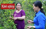 Nữ Đảng viên giúp chị em làm giàu nhờ cây chanh không hạt
