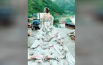 Thôn nữ may váy cưới từ 40 bao xi măng