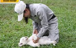 Vinpearl Safari đón nhiều thú non quý hiếm chào đời