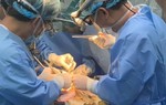 Diễn tiến sức khỏe của ca ghép gan nhỏ tuổi nhất Việt Nam