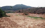  'Băm nát' 200ha rừng phòng hộ để cán bộ chia nhau 