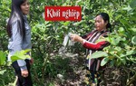 5 điểm khác biệt giữa phụ nữ khởi nghiệp tại đô thị và nông thôn
