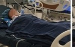 Bé gái 8 tuổi nguy kịch do bị ong đốt hơn 50 mũi 