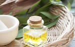 Dược sĩ hướng dẫn dùng tinh dầu tràm phòng ngừa virus cúm A/H5N1 và H1N1