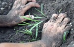 Cần điều tra đất, nguồn nước ở gia đình có 2 trẻ tử vong do nhiễm khuẩn whitmore