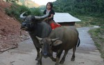 Tai nạn hy hữu làm cháu bé 9 tuổi tử vong