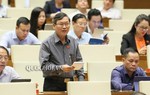 Tội phạm hiếp dâm tăng gần 8%, dâm ô trẻ em tăng hơn 46%