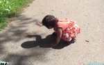 Vui đùa với cái bóng của mình