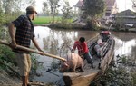 Sau vụ heo tiêm thuốc an thần: Giá thịt về gần đáy