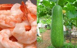 Bác sĩ tư vấn bữa ăn bổ dưỡng, phòng chống say nóng