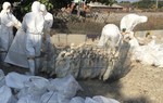 Ngăn cúm gia cầm H2N2 lây lan, Đài Loan tiêu hủy hơn 5.000 con vịt 