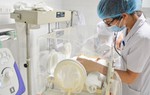 Mổ cứu con vì mẹ phát bệnh dại