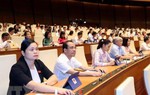 Từ 1/1/2020, người đã uống rượu, bia sẽ không được lái xe