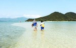 Cuộc dạo chơi đầy cảm xúc trên con đường dưới biển 