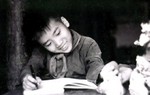Điều ít biết về bài thơ “Sao không về Vàng ơi” của Trần Đăng Khoa
