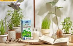 Sữa tươi 100% organic giàu các dưỡng chất tự nhiên, tốt cho sức khỏe