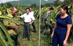 Thanh Hóa: Phụ nữ cùng nhau làm kinh tế, thoát nghèo bền vững