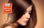 Nhà tạo mẫu mách 'chiêu' ngăn rụng tóc giao mùa Thu-Đông