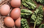 Chọn đúng thực phẩm dinh dưỡng cho bé