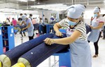 BHXH Hà Nội đề nghị khởi kiện 592 đơn vị nợ BHXH
