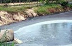 Mỗi ngày, hơn 5.200 cơ sở y tế xả thải không đảm bảo ra môi trường