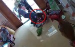 Clip ghi lại cảnh nhóm côn đồ xông vào nhà hành hung phụ nữ phải nhập viện