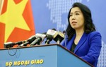 Bộ Ngoại giao Việt Nam lên tiếng về vụ cô dâu Việt bị chồng Hàn Quốc bạo hành