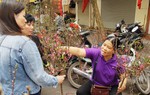 Chợ hoa Hàng Lược chiều 29 Tết: Hoa đào đắt hàng, cây mai hạ giá 
