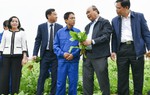 Thủ tướng Chính phủ thăm Công ty thực phẩm xuất khẩu Đồng Giao