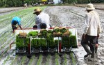 HTX là trợ thủ đắc lực cho nông dân