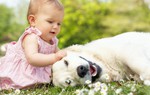 Nuôi chó giúp bạn chống lại bệnh chàm và giảm hen suyễn