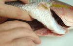 Dễ suy thận nếu uống mật cá bồi bổ dịp Tết
