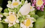 Lạ mà quen với 4 cách gấp cánh hoa sen độc đáo 