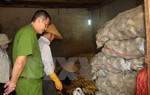 Đình chỉ cơ sở biến rau củ Trung Quốc thành nông sản Đà Lạt