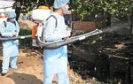 Bé gái 12 tuổi tử vong sau điều trị sốt xuất huyết
