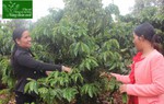 Chi hội trưởng phụ nữ người Jarai nói được, làm được